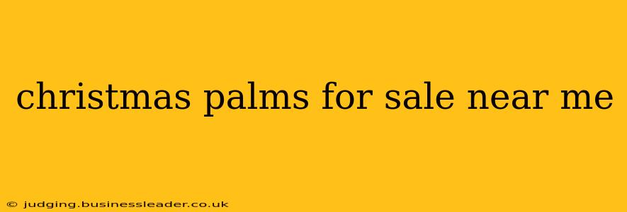 christmas palms for sale near me