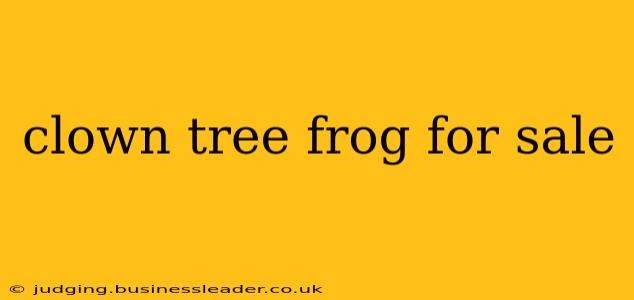 clown tree frog for sale