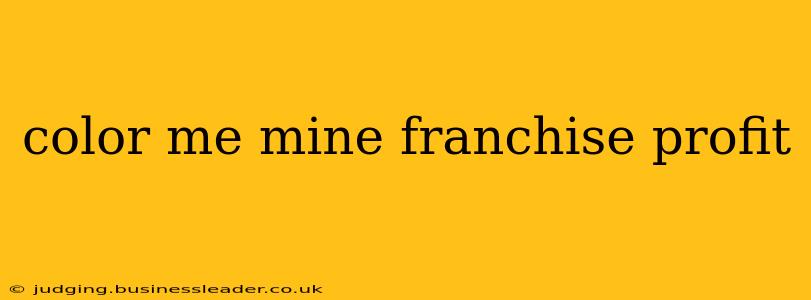 color me mine franchise profit