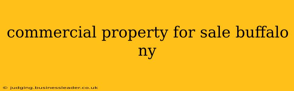 commercial property for sale buffalo ny