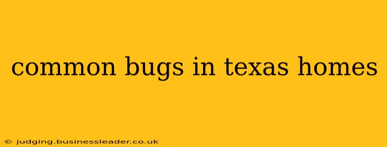 common bugs in texas homes
