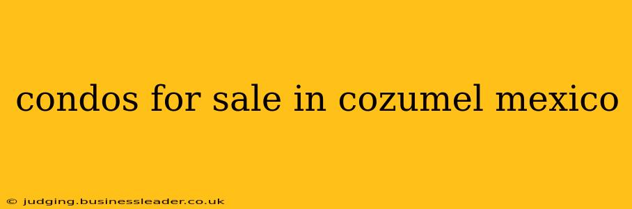 condos for sale in cozumel mexico