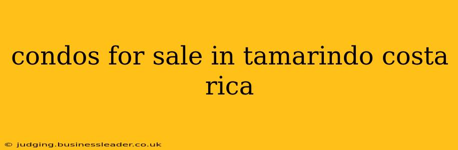 condos for sale in tamarindo costa rica