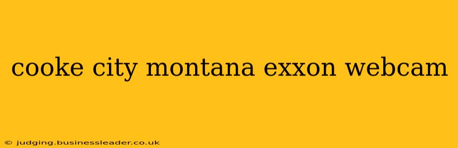 cooke city montana exxon webcam