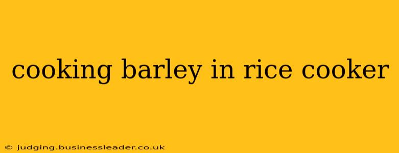 cooking barley in rice cooker