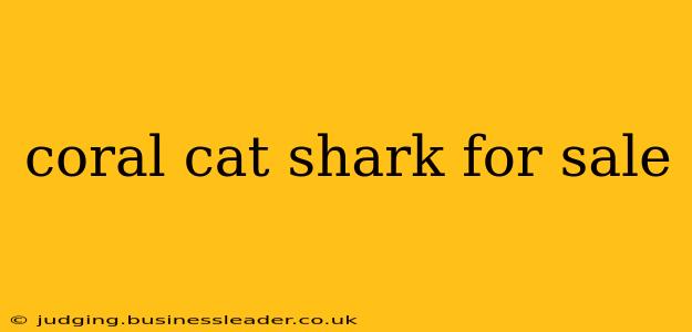 coral cat shark for sale