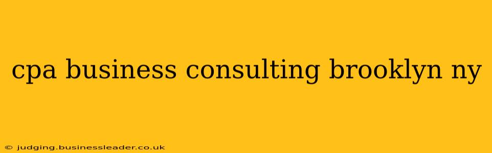 cpa business consulting brooklyn ny