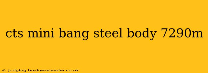 cts mini bang steel body 7290m