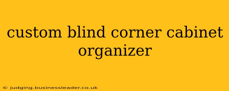 custom blind corner cabinet organizer