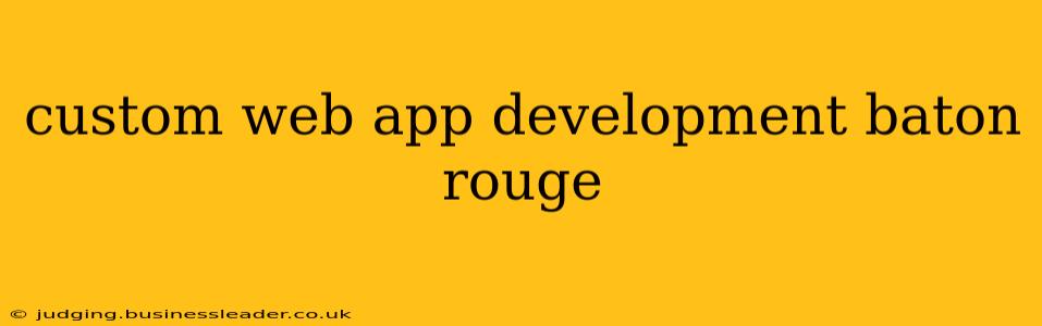 custom web app development baton rouge