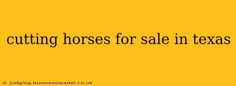 cutting horses for sale in texas