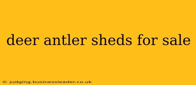 deer antler sheds for sale