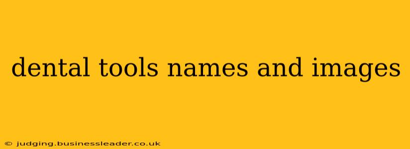 dental tools names and images