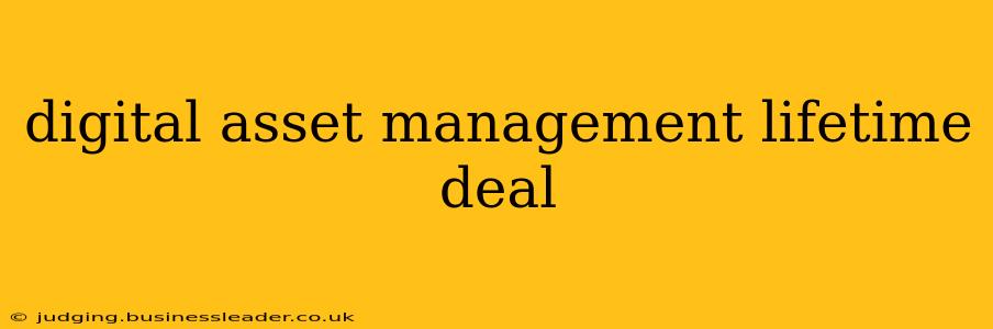 digital asset management lifetime deal