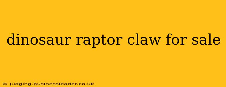 dinosaur raptor claw for sale