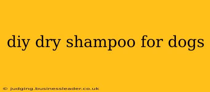 diy dry shampoo for dogs