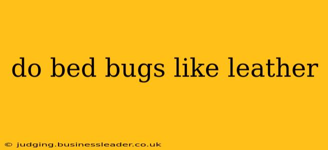 do bed bugs like leather