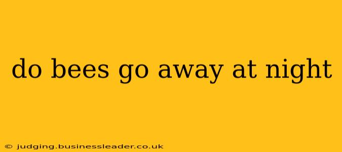 do bees go away at night