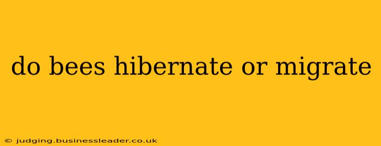 do bees hibernate or migrate