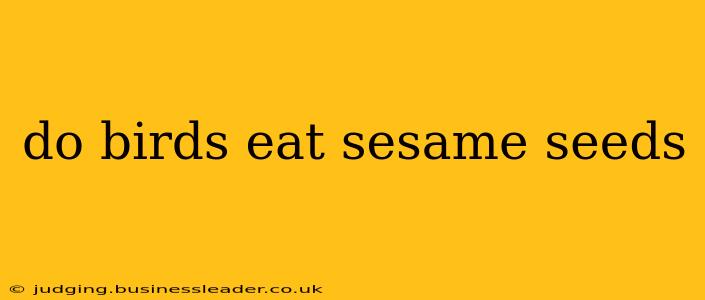 do birds eat sesame seeds