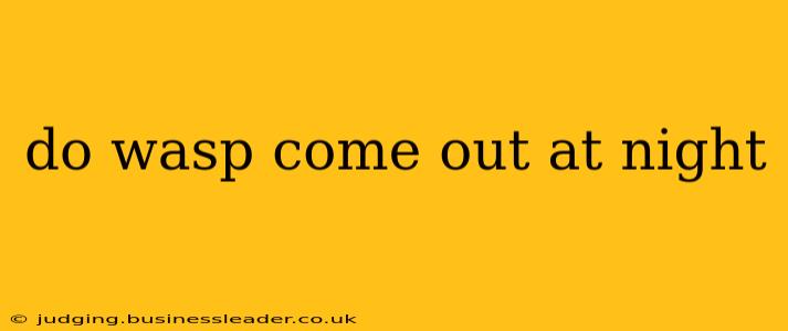 do wasp come out at night