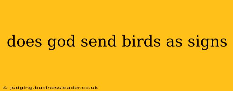 does god send birds as signs