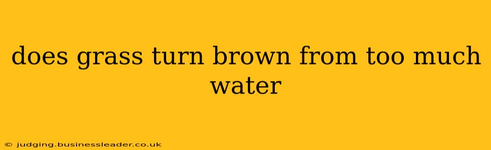 does grass turn brown from too much water