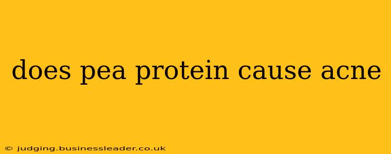 does pea protein cause acne