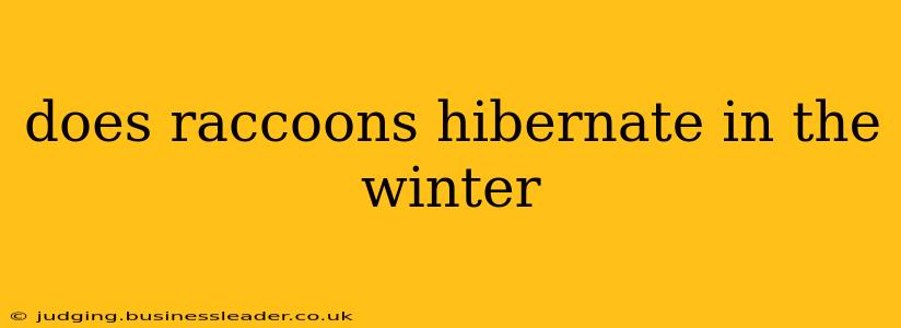 does raccoons hibernate in the winter