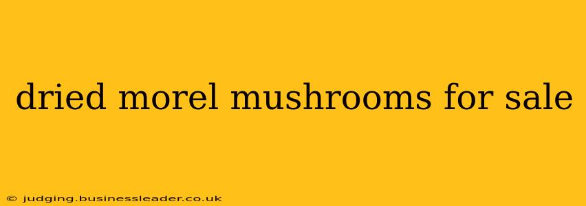 dried morel mushrooms for sale