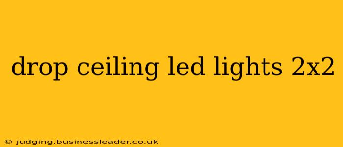drop ceiling led lights 2x2