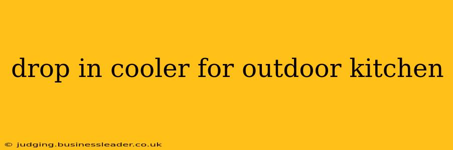 drop in cooler for outdoor kitchen