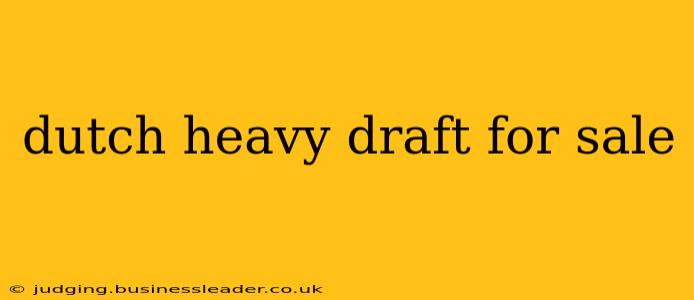 dutch heavy draft for sale