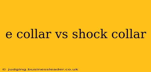e collar vs shock collar