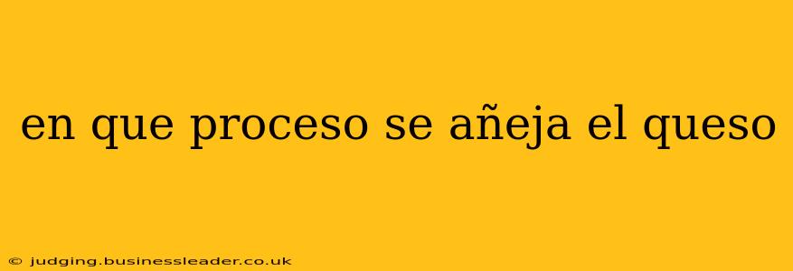 en que proceso se añeja el queso