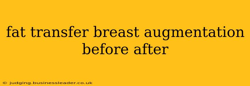 fat transfer breast augmentation before after