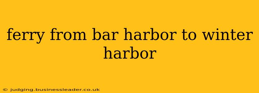 ferry from bar harbor to winter harbor