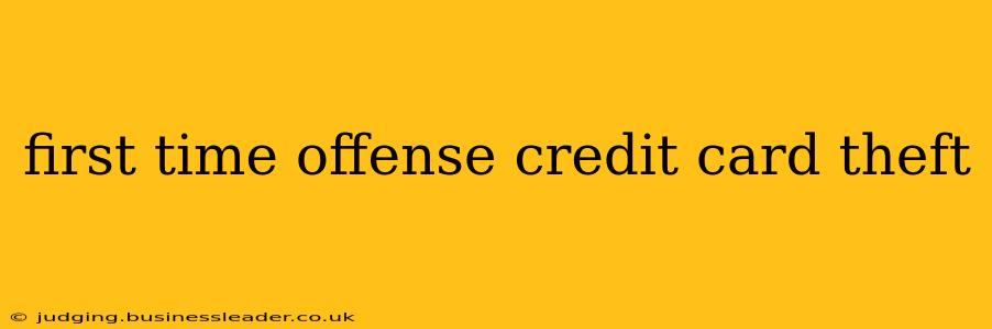first time offense credit card theft