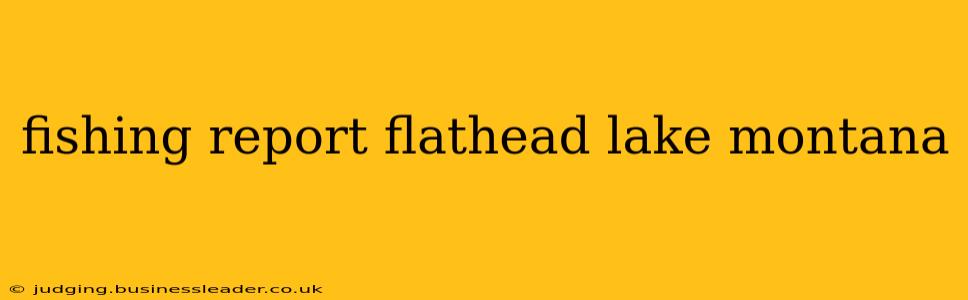 fishing report flathead lake montana