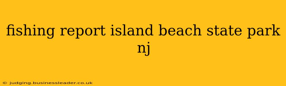 fishing report island beach state park nj