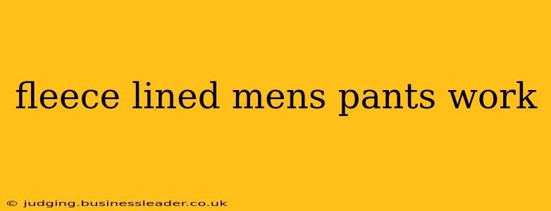 fleece lined mens pants work