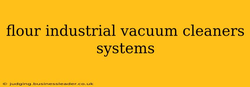 flour industrial vacuum cleaners systems
