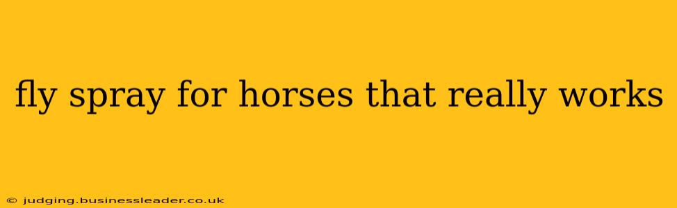 fly spray for horses that really works
