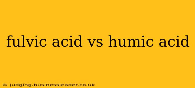fulvic acid vs humic acid
