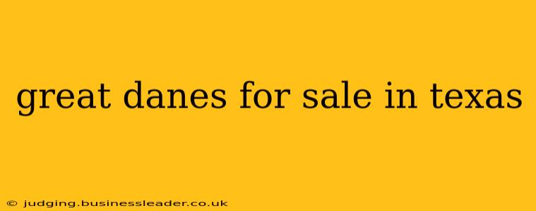 great danes for sale in texas