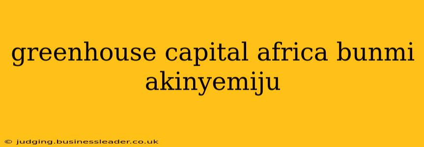 greenhouse capital africa bunmi akinyemiju