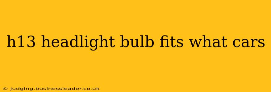 h13 headlight bulb fits what cars