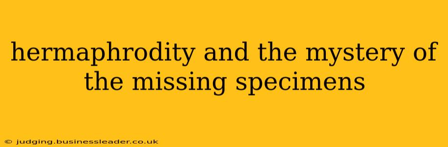 hermaphrodity and the mystery of the missing specimens