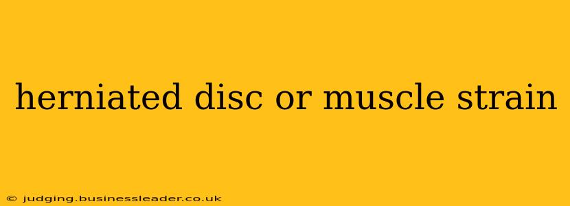 herniated disc or muscle strain