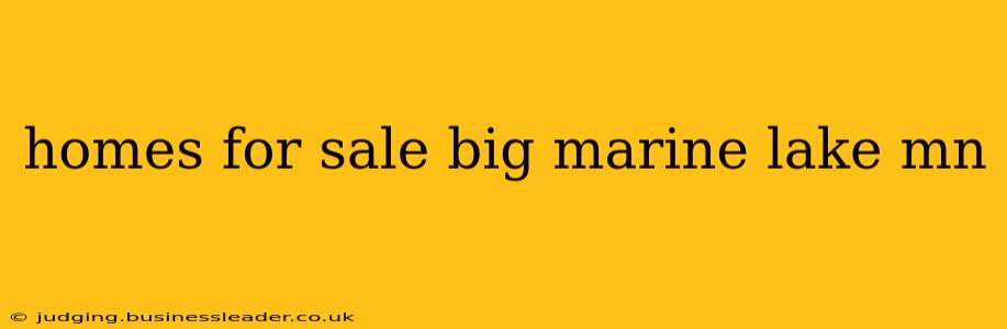 homes for sale big marine lake mn